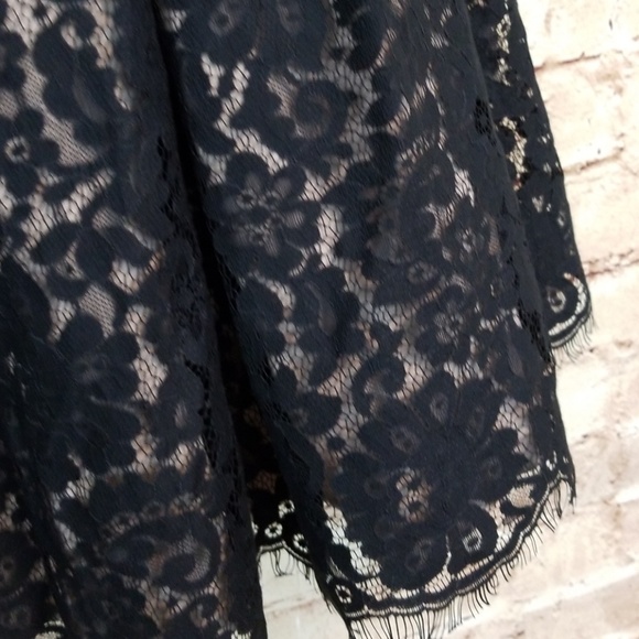 NM/Target Robert Rodriguez Lace Cocktail Dress - Picture 5 of 8